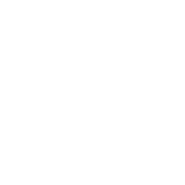 /openai.png